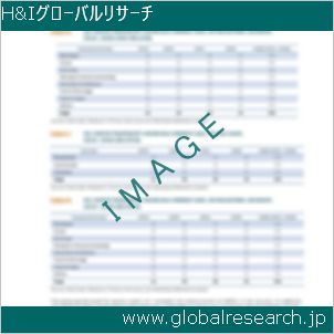 グローバルリサーチ調査レポートのイメージ